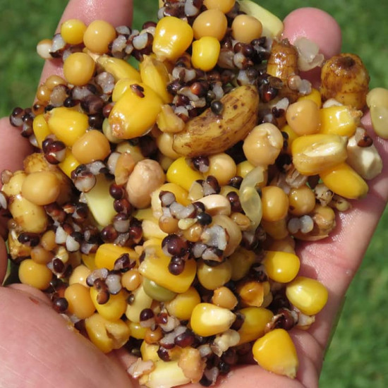 MEGA CARP MIX 5L