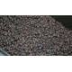 2mm Sinking Pellet