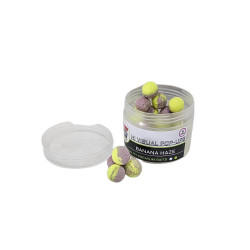 Banana Haze 16mm Pop Ups