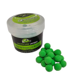 Green Lip Mussel Popups